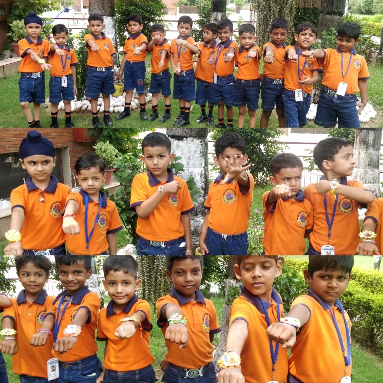 Rakhi Celebration | Kindergarten