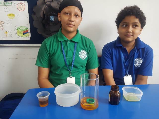 Young Scientists Activity