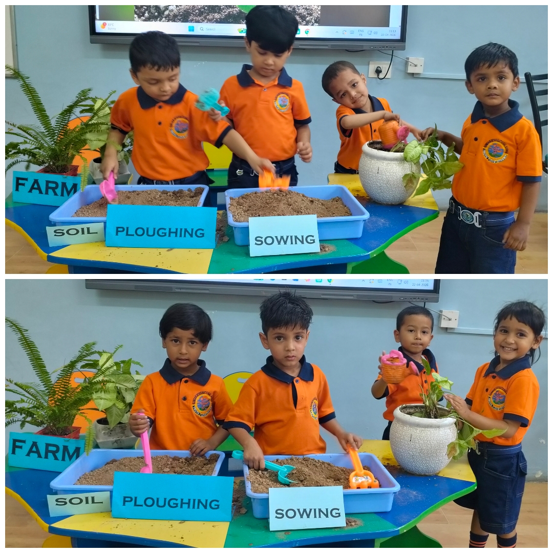 Plant Sapling Activity