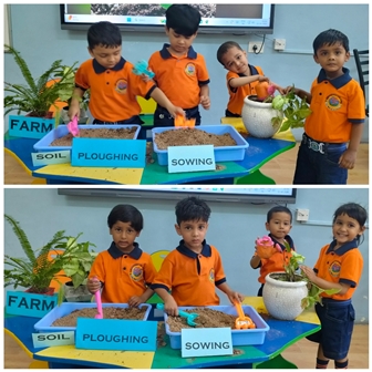 Plant Sapling Activity